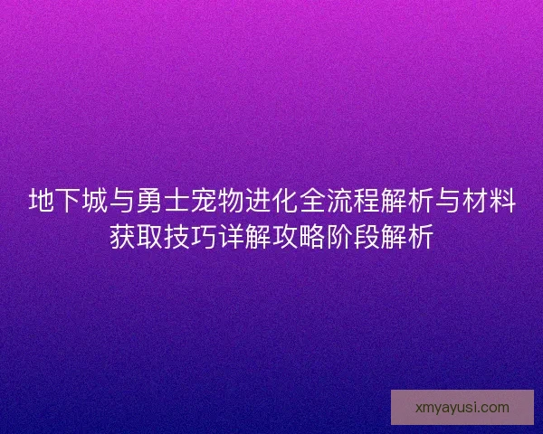 地下城与勇士宠物进化全流程解析与材料获取技巧详解攻略阶段解析