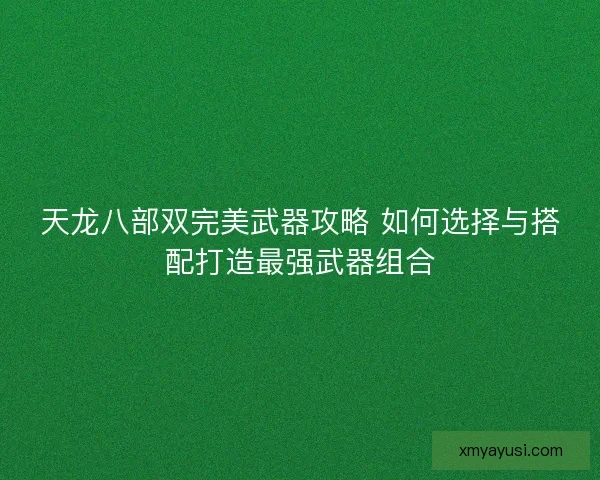 天龙八部双完美武器攻略 如何选择与搭配打造最强武器组合